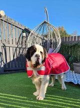 Red Waterproof Dog Coat